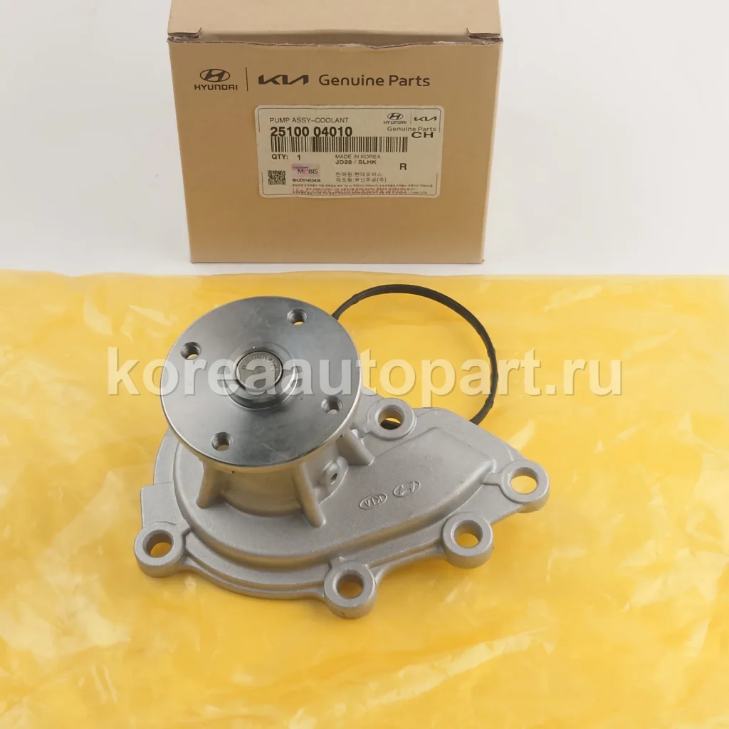 Water Pump / Water Pump Gasket / Pump Pulley – OE 25100-04010